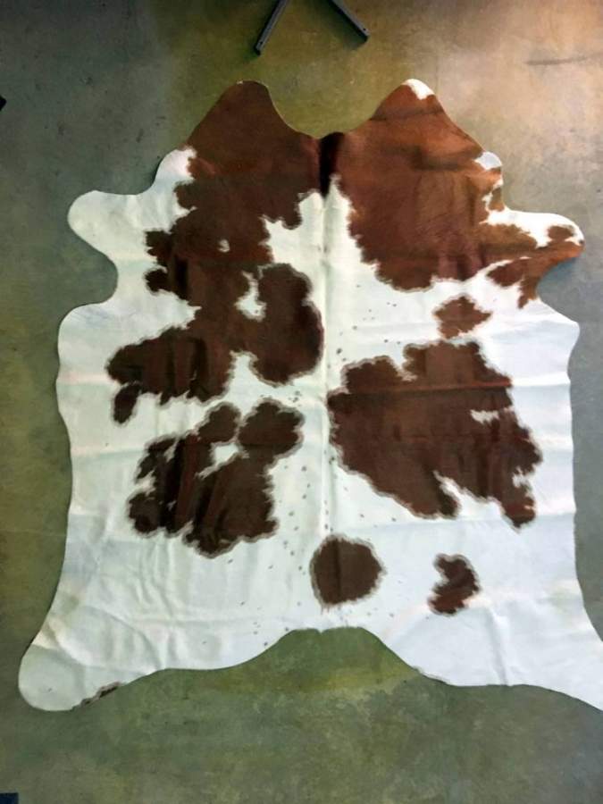 cow hides for sale in dorrigo australia
